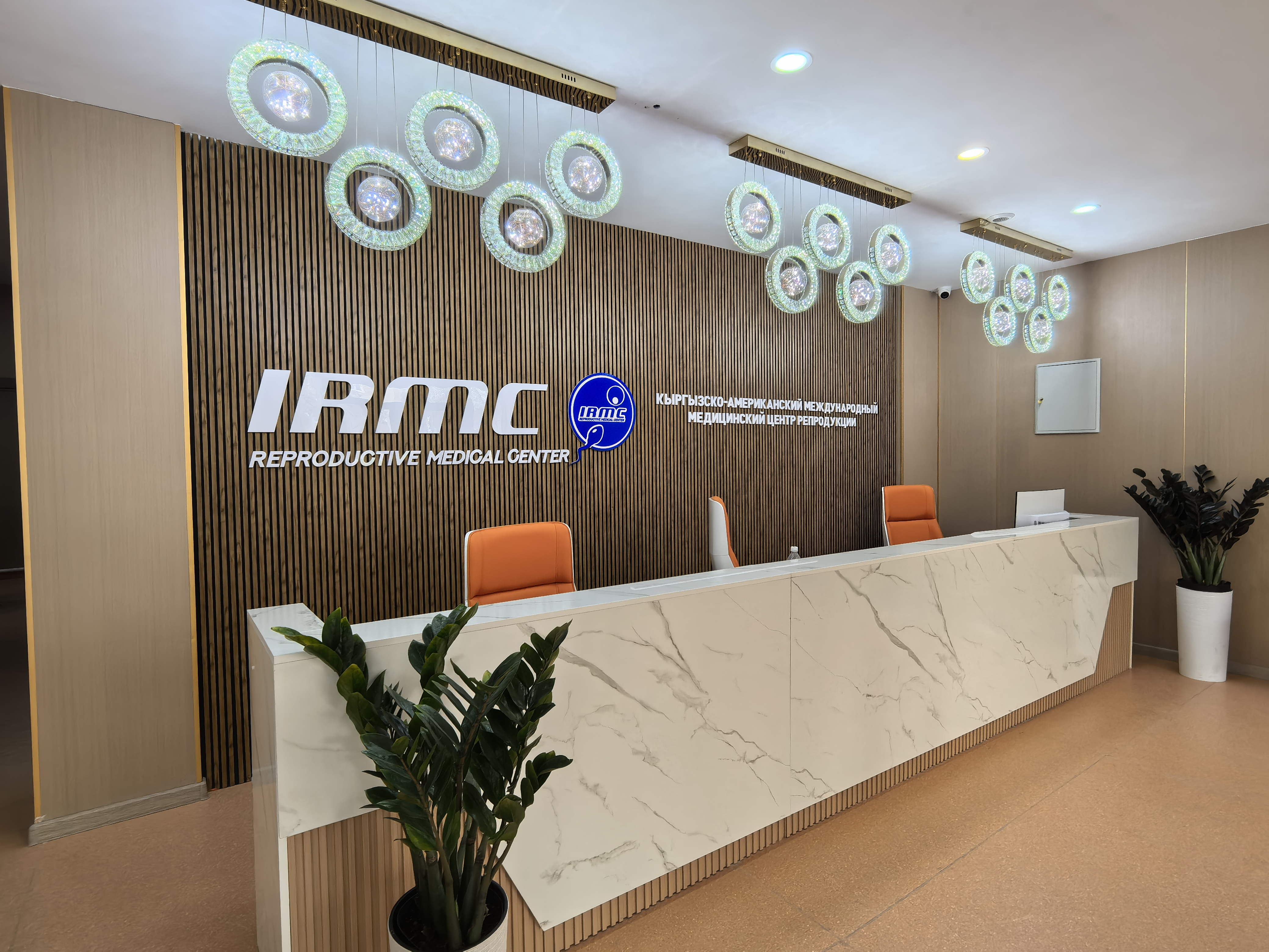 13例移植成功10例！揭秘IRMC高成功率背后的硬实力！